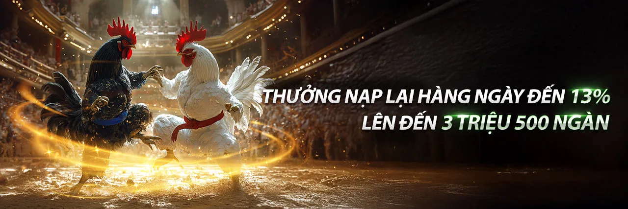 Đá Gà Trực Tiếp 95vn8 - Sân Chơi Đẳng Cấp